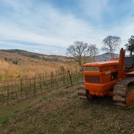 Fibbino - Di Campagna Alloggio per agriturismo Piegaro (Umbria)