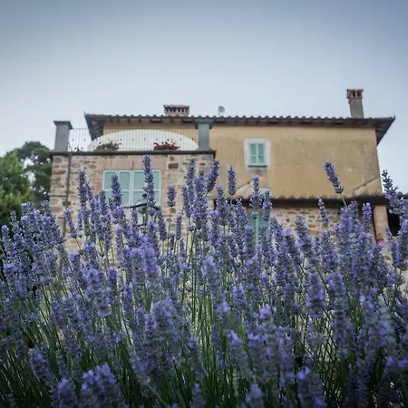 Alloggio per agriturismo Fibbino - Di Campagna *