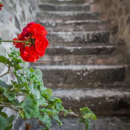 Fibbino - Di Campagna Alloggio per agriturismo *